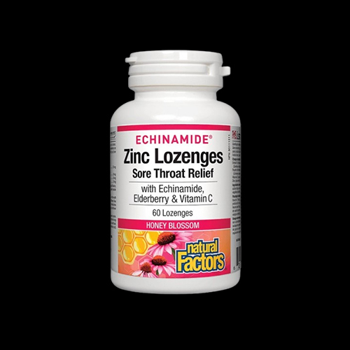 Natural Factors Echinamide® Zinc Lozenges | Sore Throat Relief
