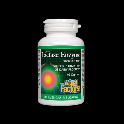Natural Factors Lactase Enzyme 250 mg