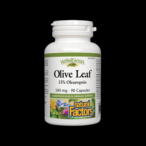 Natural Factors Olive Leaf 500 mg