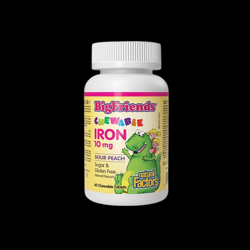 Natural Factors BigFriends Iron for Children 10mg for Kids