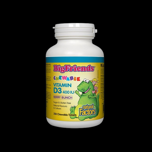 Natural Factors BigFriends Vitamin D3 for Kids 400 IU