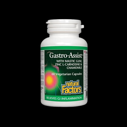Natural Factors Gastro Assist™