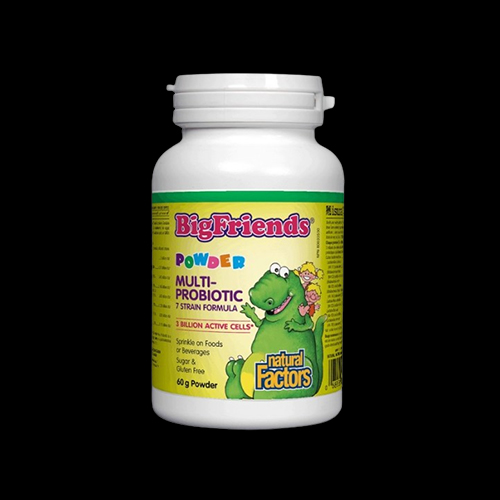 Natural Factors BigFriends Multi Probiotic