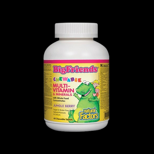 Natural Factors BigFriends Multi Vitamin and Minerals for Kids
