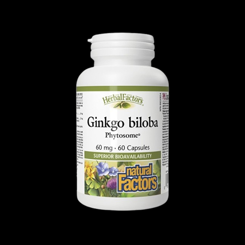 Natural Factors Ginkgo Biloba Phytosome®