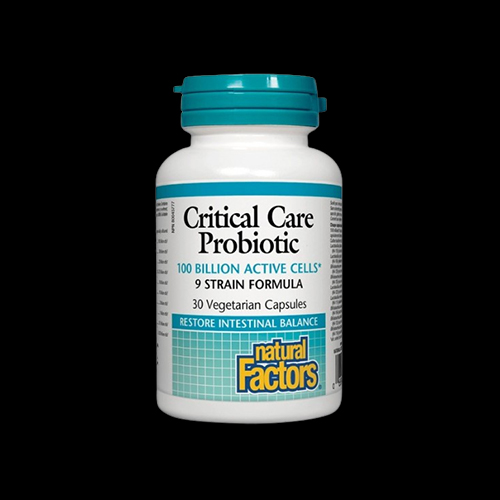 Natural Factors Critical Care Probiotic 100 Billion Active Cells
