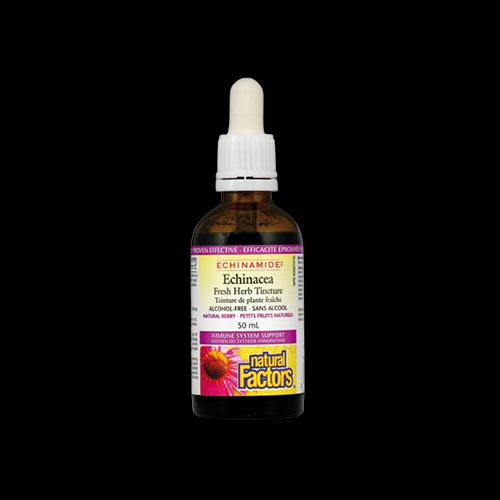 Natural Factors Echinamide Echinacea (without alcohol)