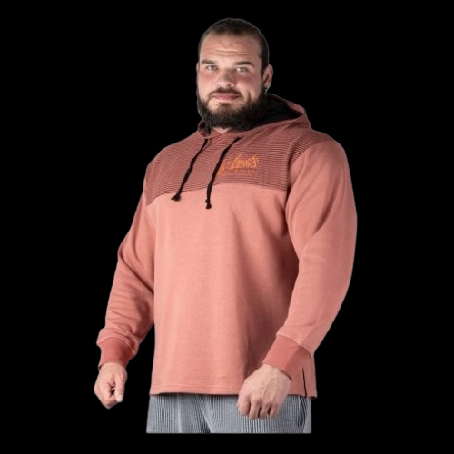 Legal Power Hoodie Landscape Boston 4222-864/405 - CEDORWOOD