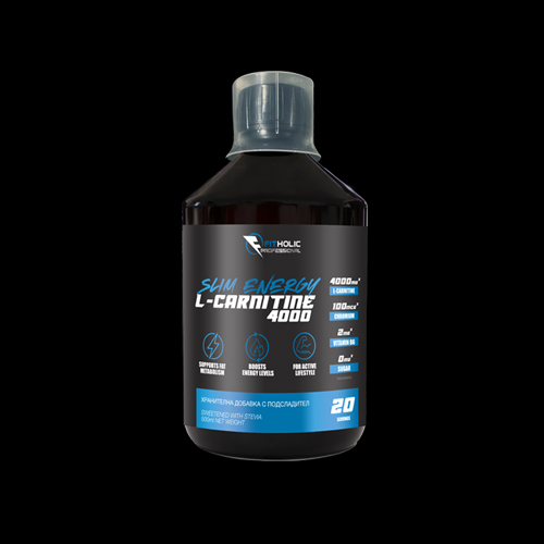 Fitholic Professional L-Carnitine Slim Energy 4000 mg Triple L-Carnitine Matrix 500 ml