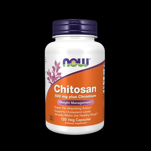 NOW Chitosan 500 mg