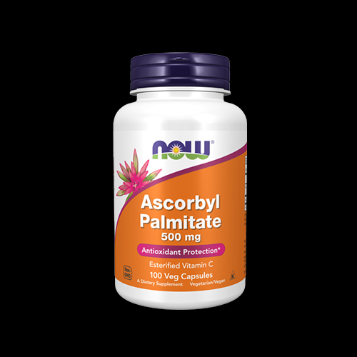 NOW Ascorbyl Palmitate 500mg