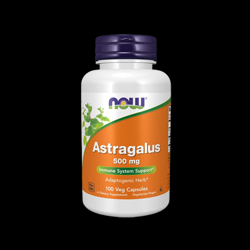NOW Astragalus 500mg