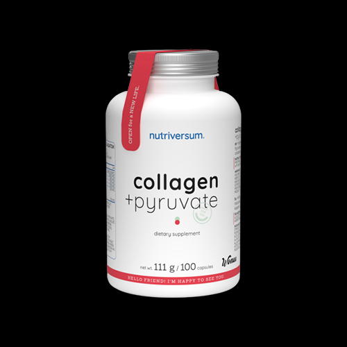 Nutriversum Collagen Pyruvate | with Hyaluronic, CLA, Garcinia