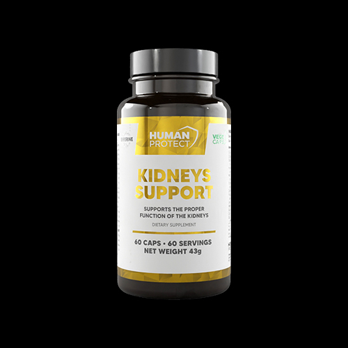 Human Protect Kidneys Support | Proper Kidney Function Support