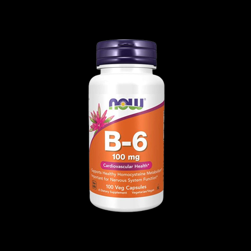 NOW Foods Vitamin B6 100 mg