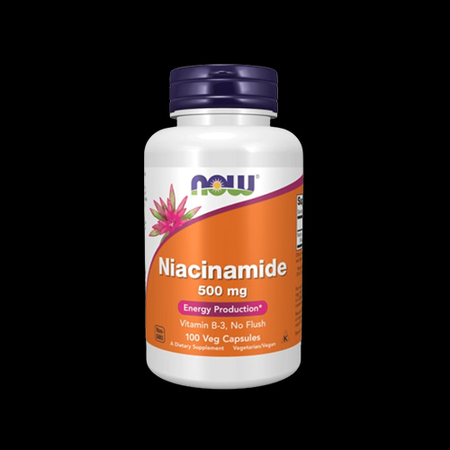 NOW Niacinamide Vitamin B3 500 mg