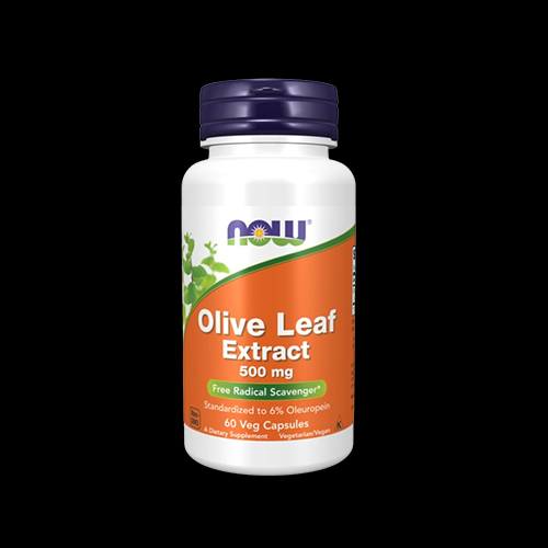 NOW Olive Leaf Extract 500 mg