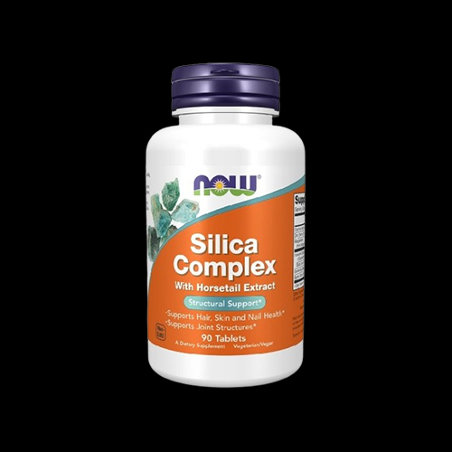NOW Silica Complex 500 mg