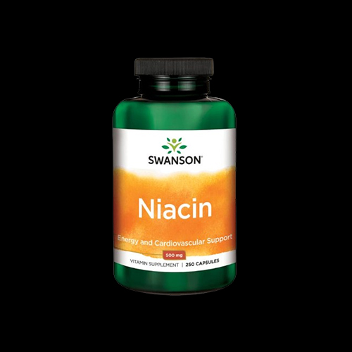 Swanson Niacin (Vitamin B-3)