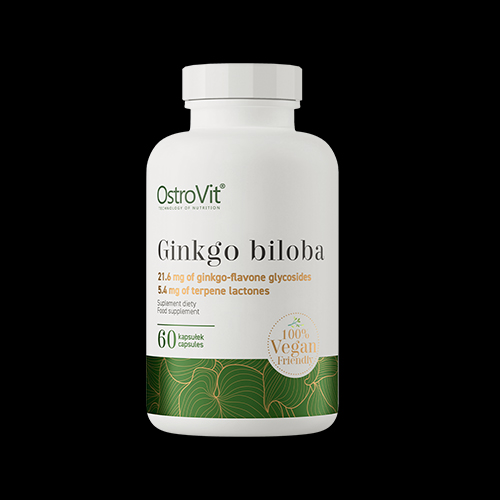 OstroVit Vege Ginkgo Biloba 120 mg