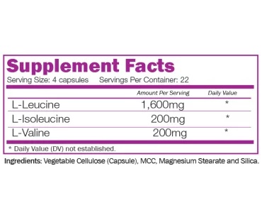 Naturalico BCAA 8:1:1-factsheets