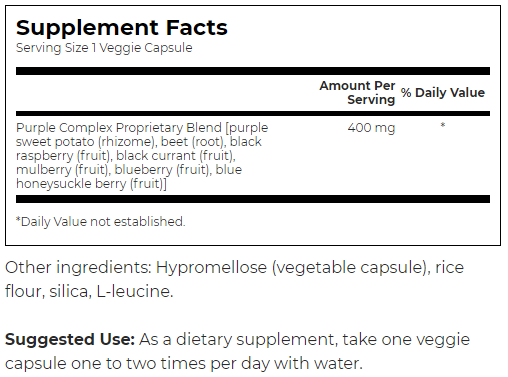 Swanson Whole Food Purple Antioxidants Fruit & Veggie Complex-factsheets
