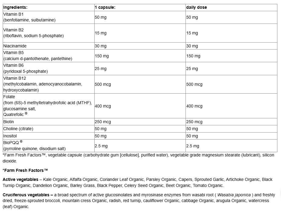Natural Factors BioCoenzymated Active B-Complex-factsheets