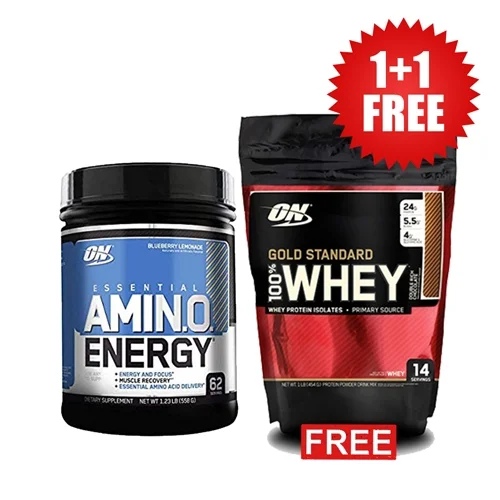 Optimum Nutrition ON 100% Whey Gold Standard 15 doses + Essential Amino Energy 62 doses