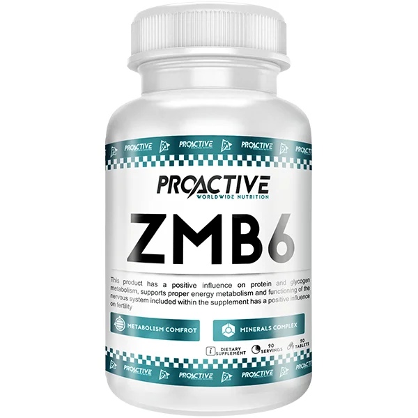 Pro Active ZMB6 90 tablets